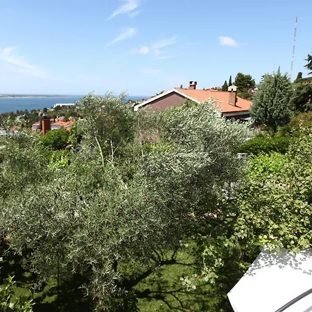 Comfort Family Bubola *