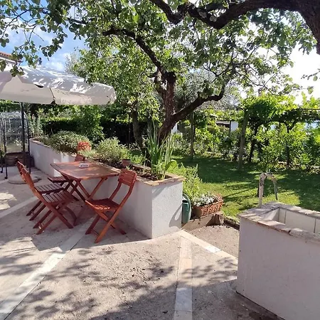 Comfort Family Bubola