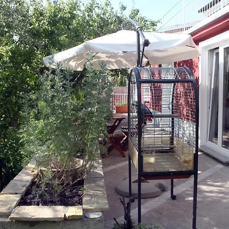 Comfort Family Bubola Appartement *