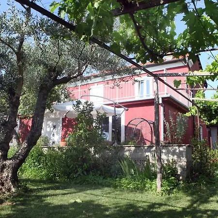 Comfort Family Bubola