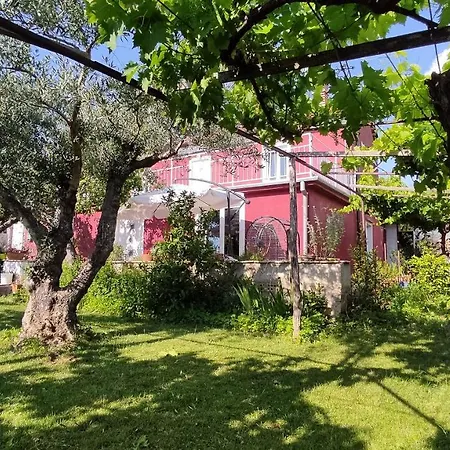 Comfort Family Bubola *